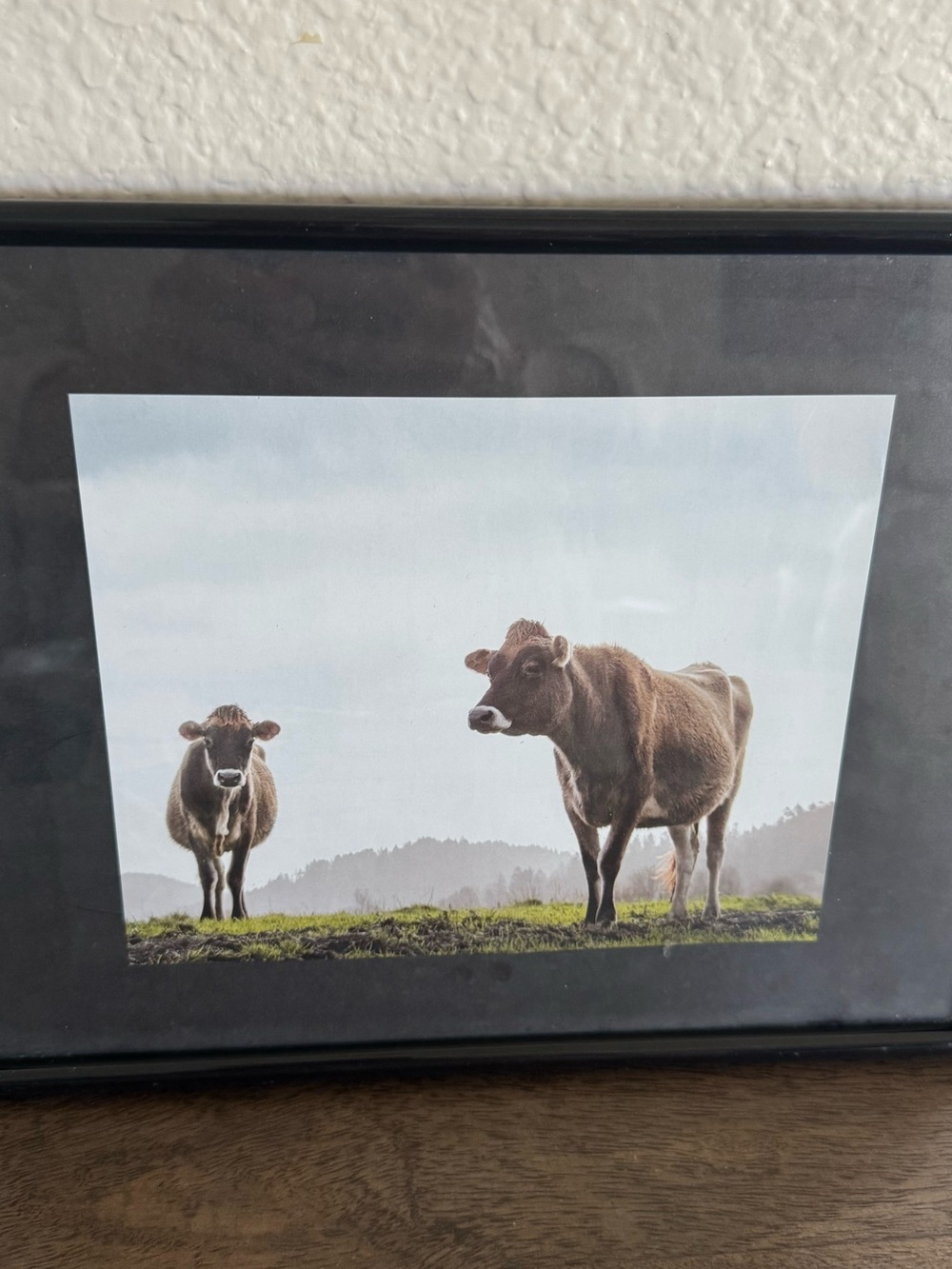 Farm Cows Framed Scenic Farmhouse Art
